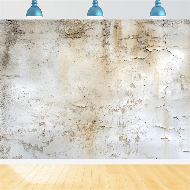 Vintage Wall Backdrop Cracked Plaster Wall Backdrop LXX57-226