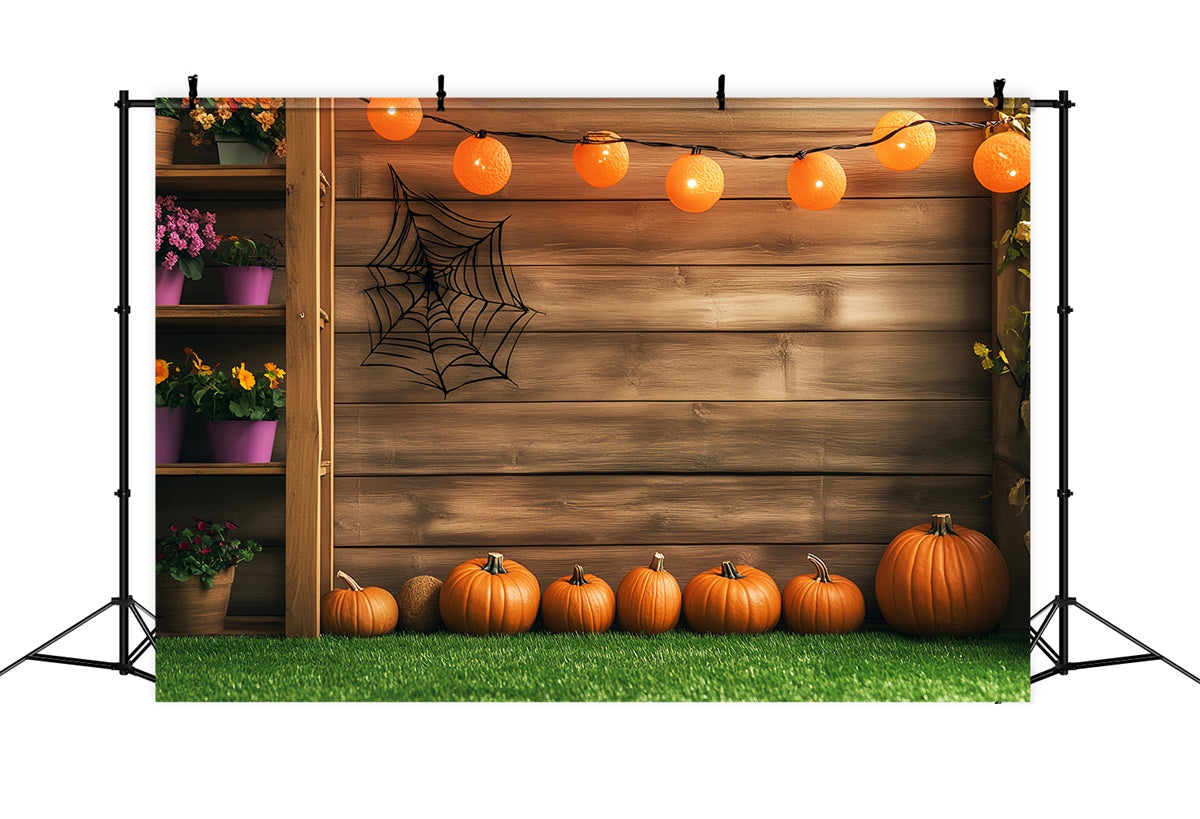 Backdrop For Thanksgiving Spider String Light Porch Backdrop LXX57-326