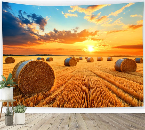 Fall Thanksgiving Backdrop Golden Hayfield Sunset Backdrop LXX57-338