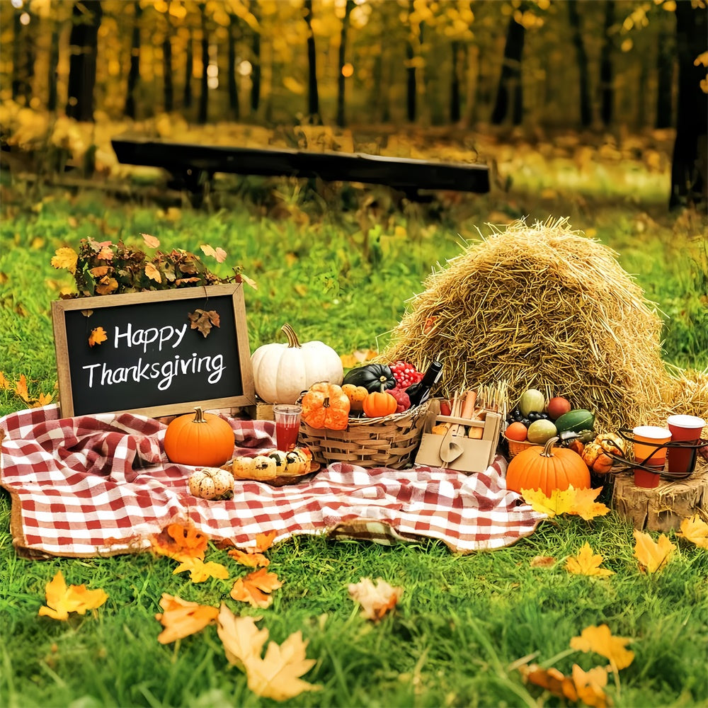 Thanksgiving Themed Backdrop Happy Picnic Meadow Backdrop LXX57-345