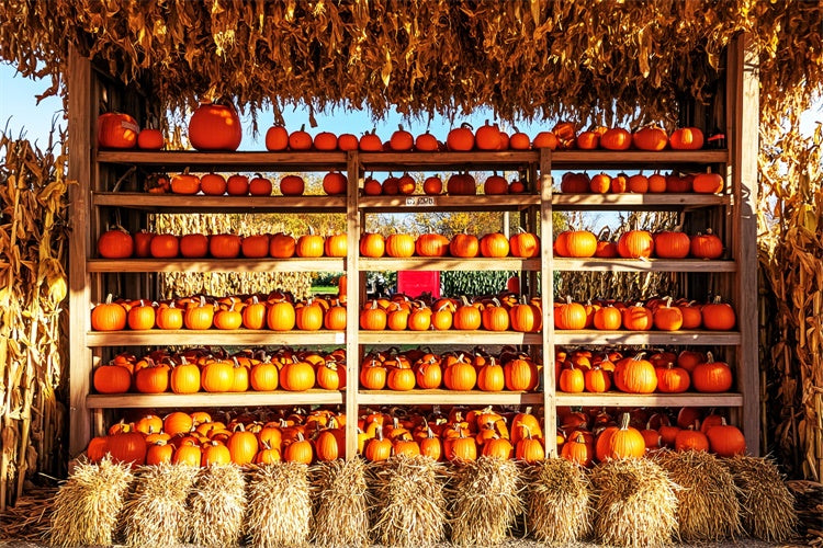 Photography Thanksgiving Backdrop Pumpkin Shed Market Backdrop LXX57-354