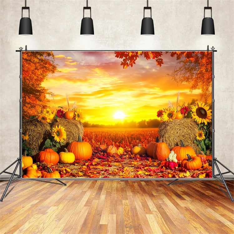 Thanksgiving Backdrop Harvest Field Golden Sunset Backdrop LXX57-360