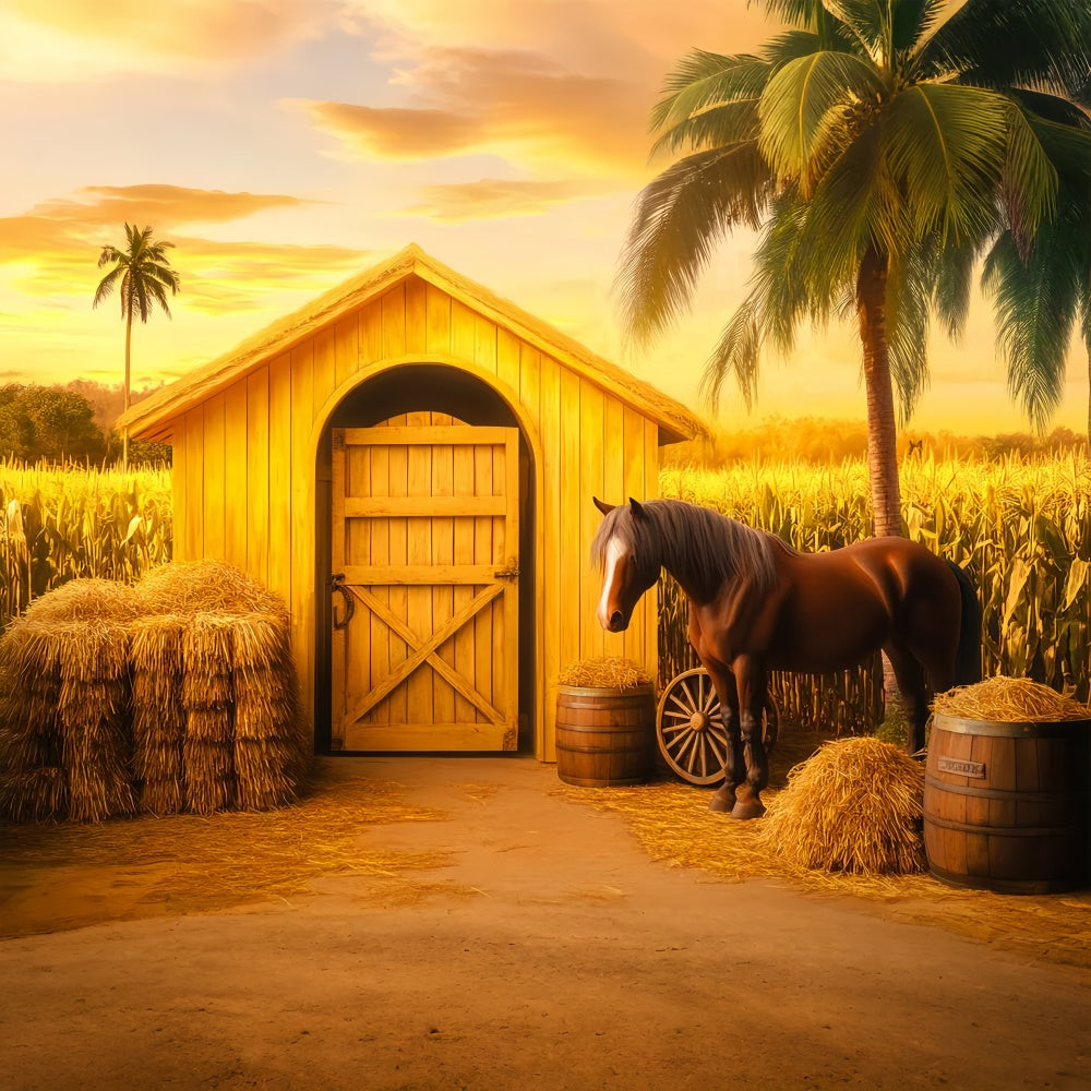 Barn Backdrops Golden Cornfield Horse Backdrop LXX57-372