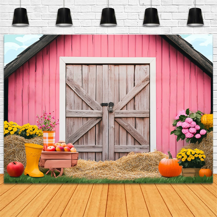 Pink Barn Backdrop Pumpkin Harvest Scene Backdrop LXX57-375