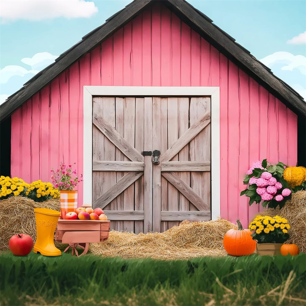 Pink Barn Backdrop Pumpkin Harvest Scene Backdrop LXX57-375
