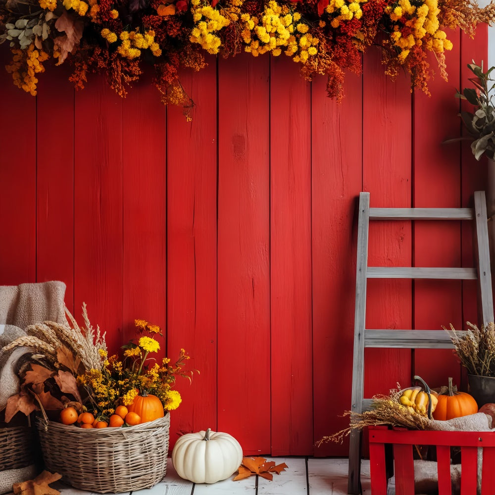 Red Barn Backdrop Rustic Charm Harvest Backdrop LXX57-389