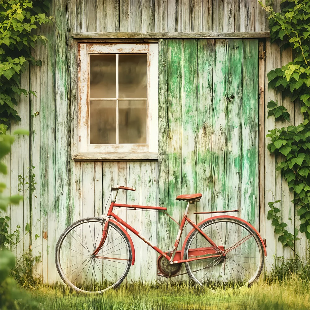 Rustic Barn Backdrop Rustic Wall Bicycle Backdrop LXX57-396