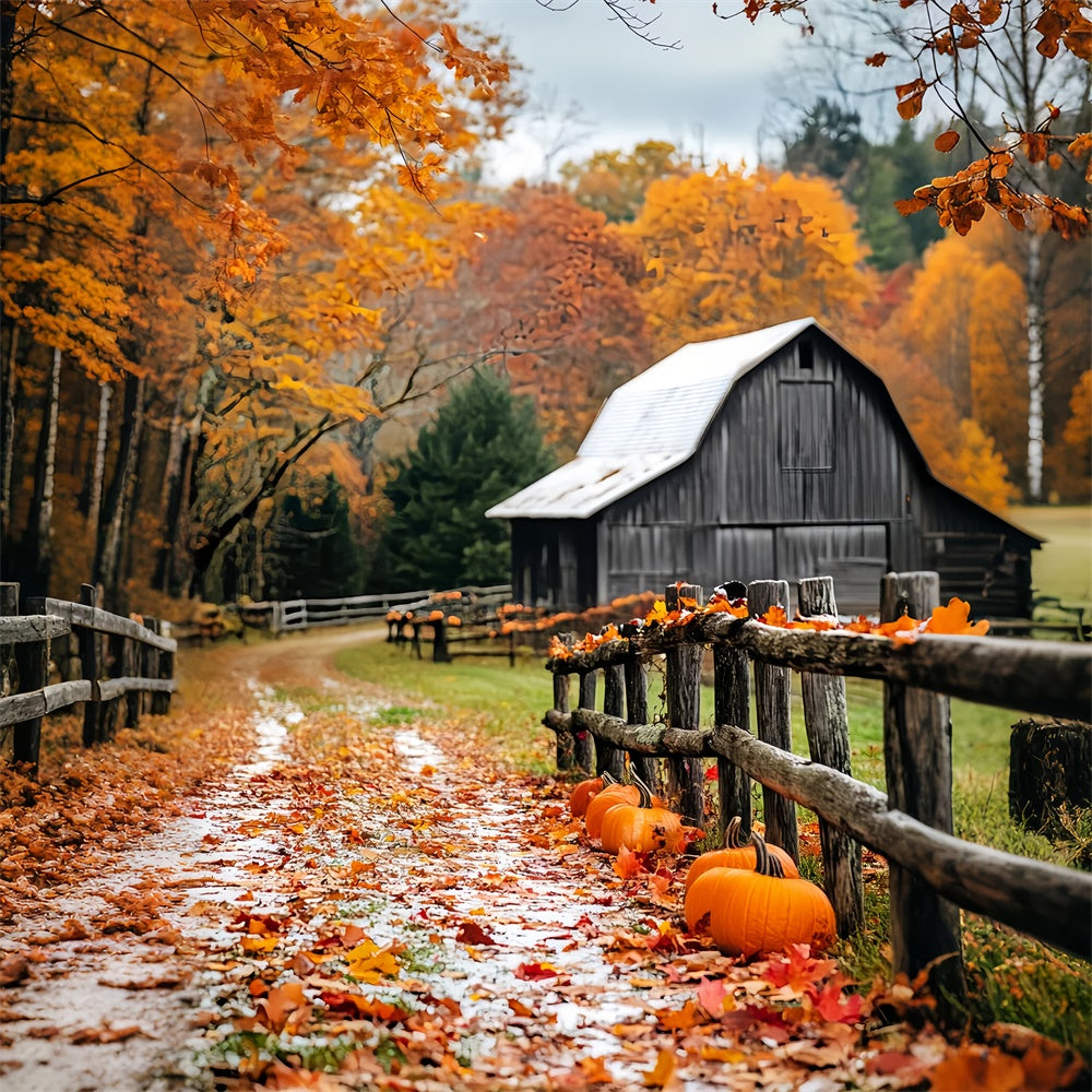 Rustic Barn Backdrop Pumpkin Path Autumn Backdrop LXX57-398
