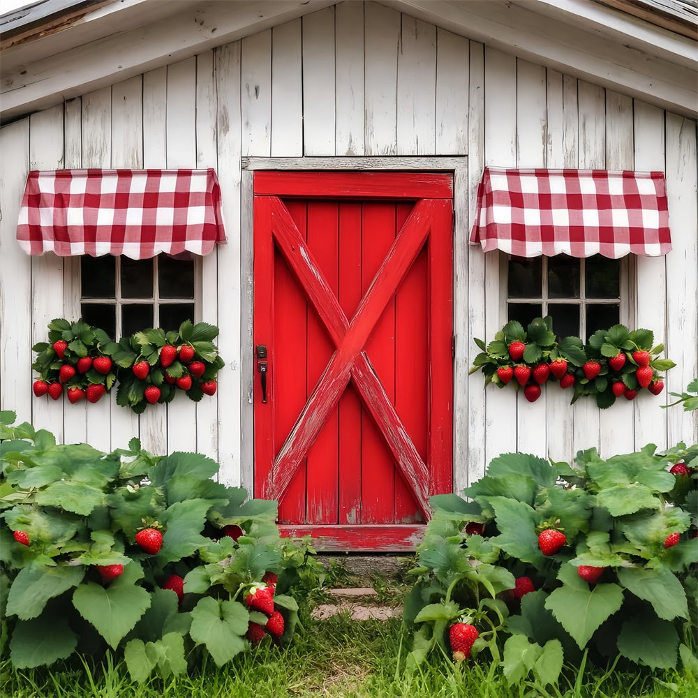 Rustic Barn Backdrop Country Berry Window Backdrop LXX57-408