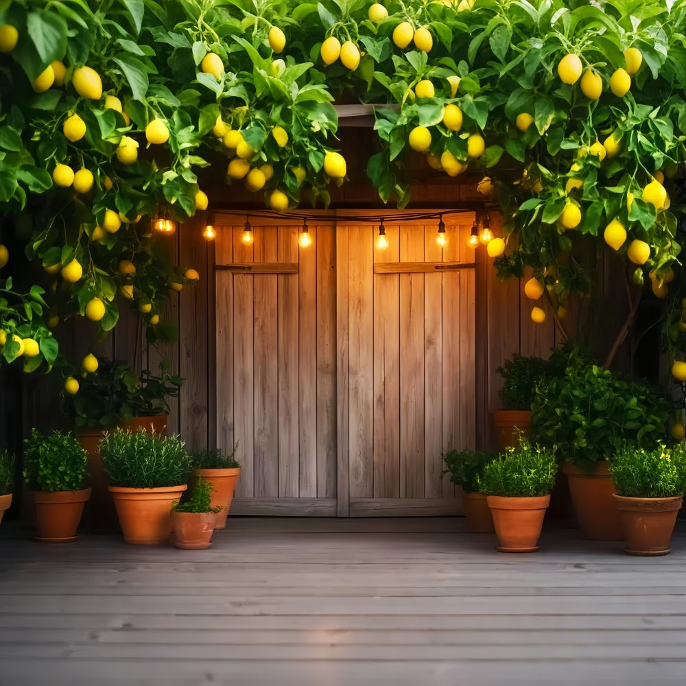 Barn Door Photo Backdrop Lemon Tree Porch Backdrop LXX57-413