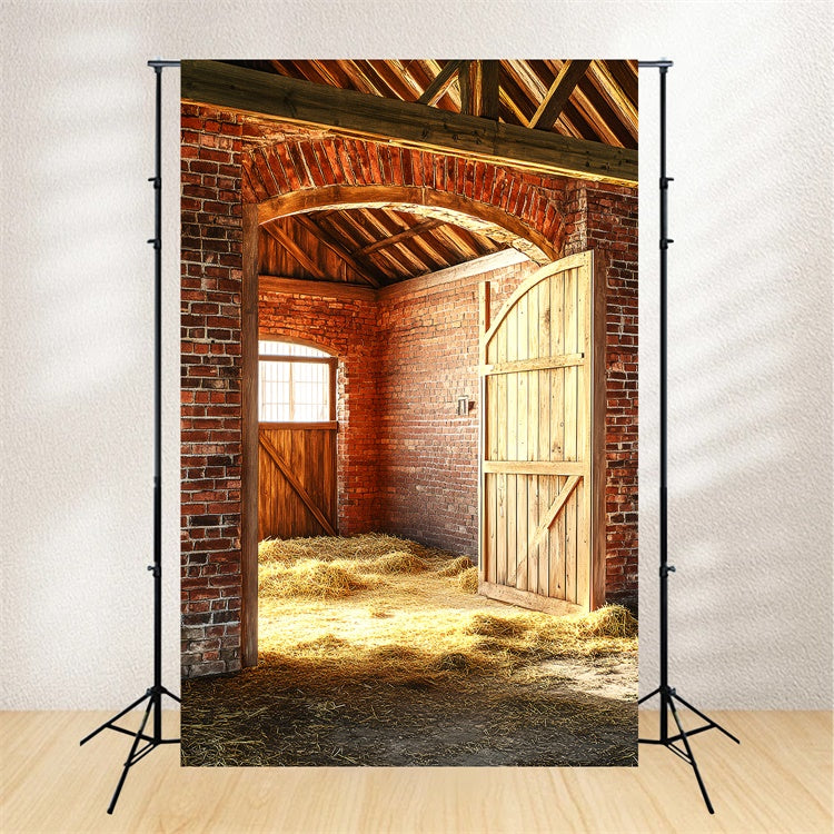 Barn Photo Backdrop Vintage Brick Arch Backdrop LXX57-418