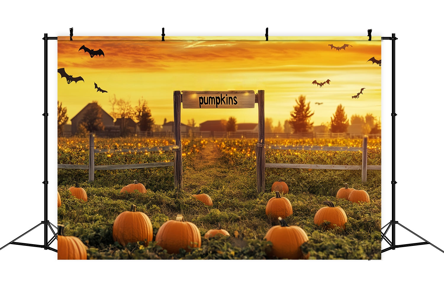 Fall Photo Backdrop Pumpkin Patch Sunset Bats Sunset Backdrop LXX58-164