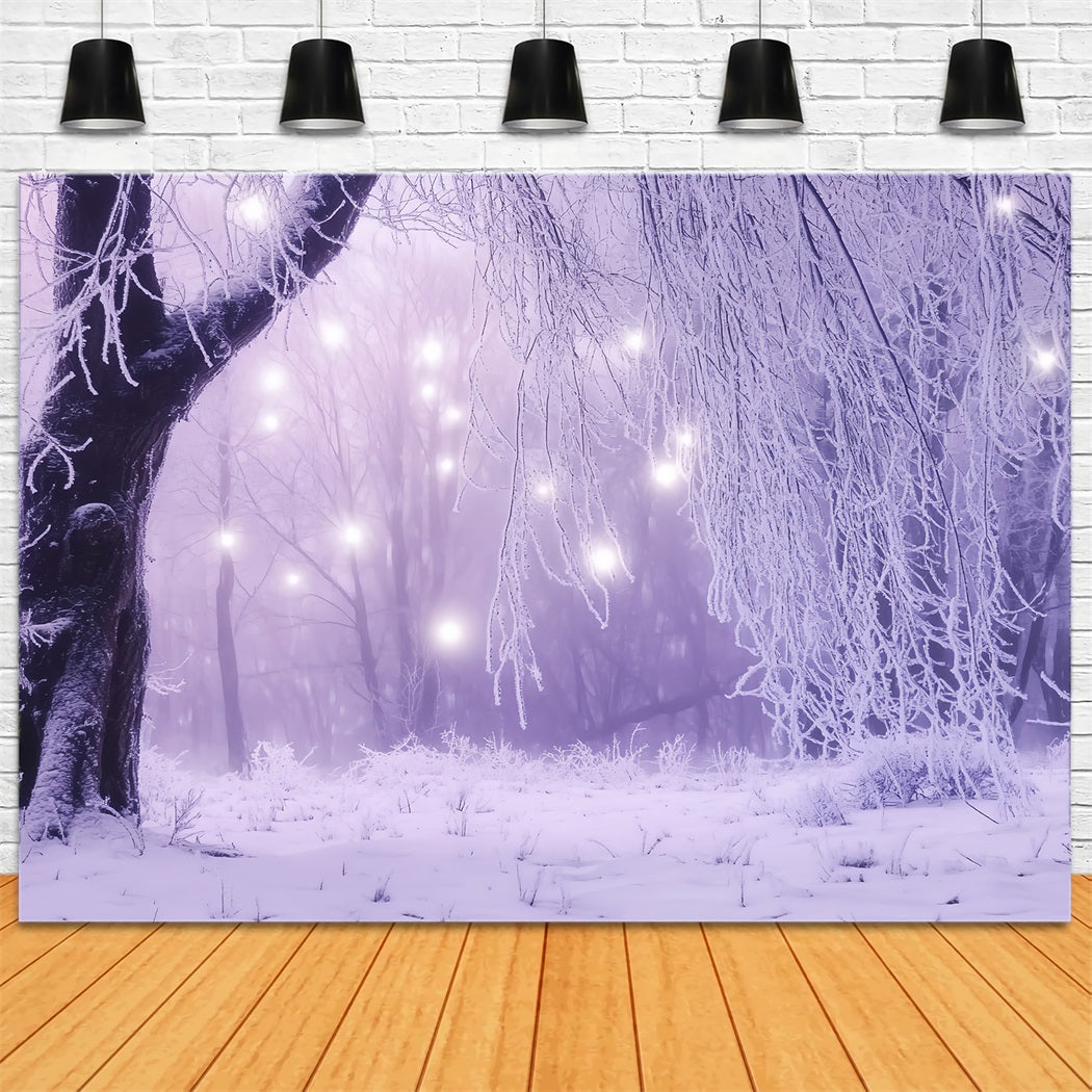 Winter Wonderland Backdrop Enchanted Forest Icy Lights Winter Backdrops LXX58-226