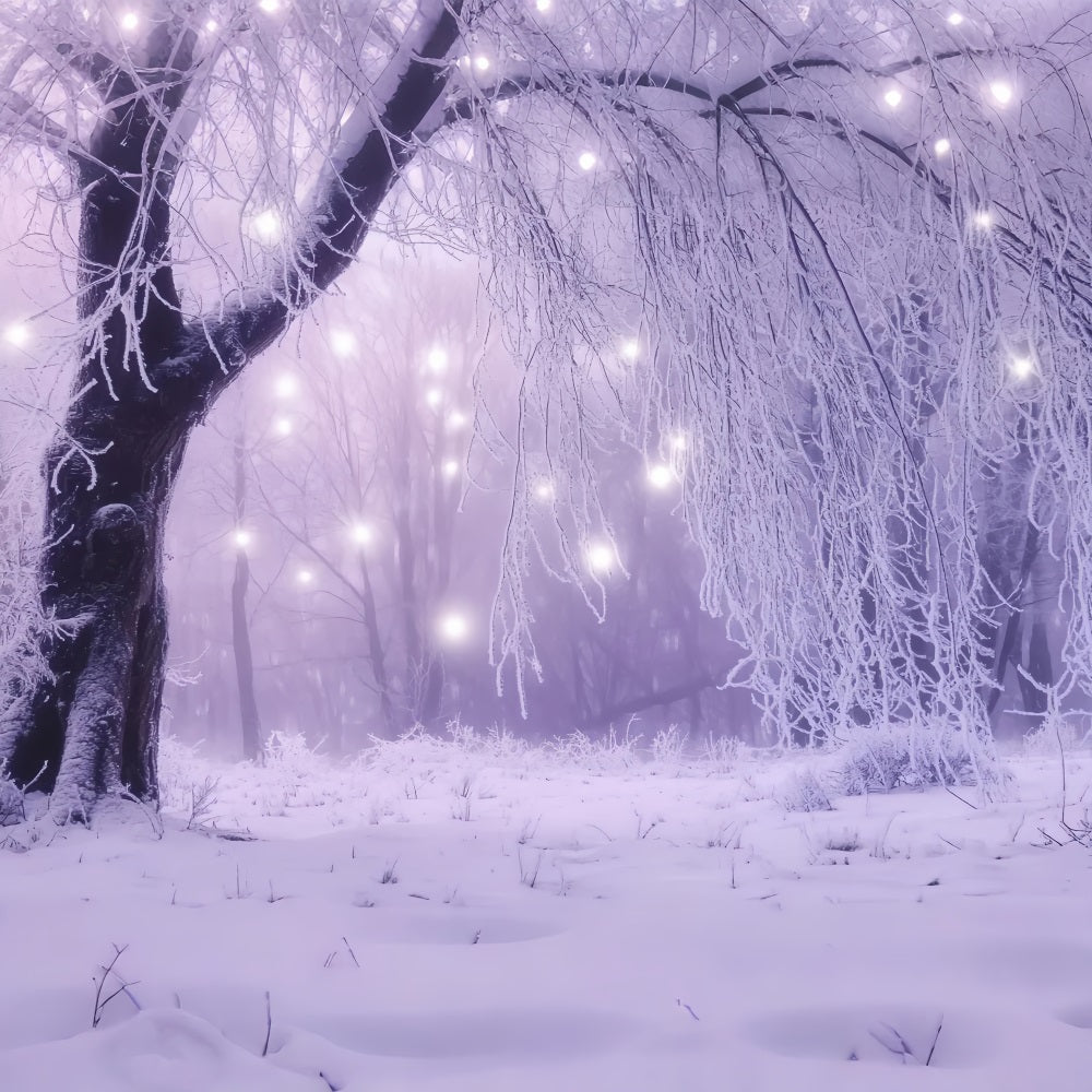Winter Wonderland Backdrop Enchanted Forest Icy Lights Winter Backdrops LXX58-226