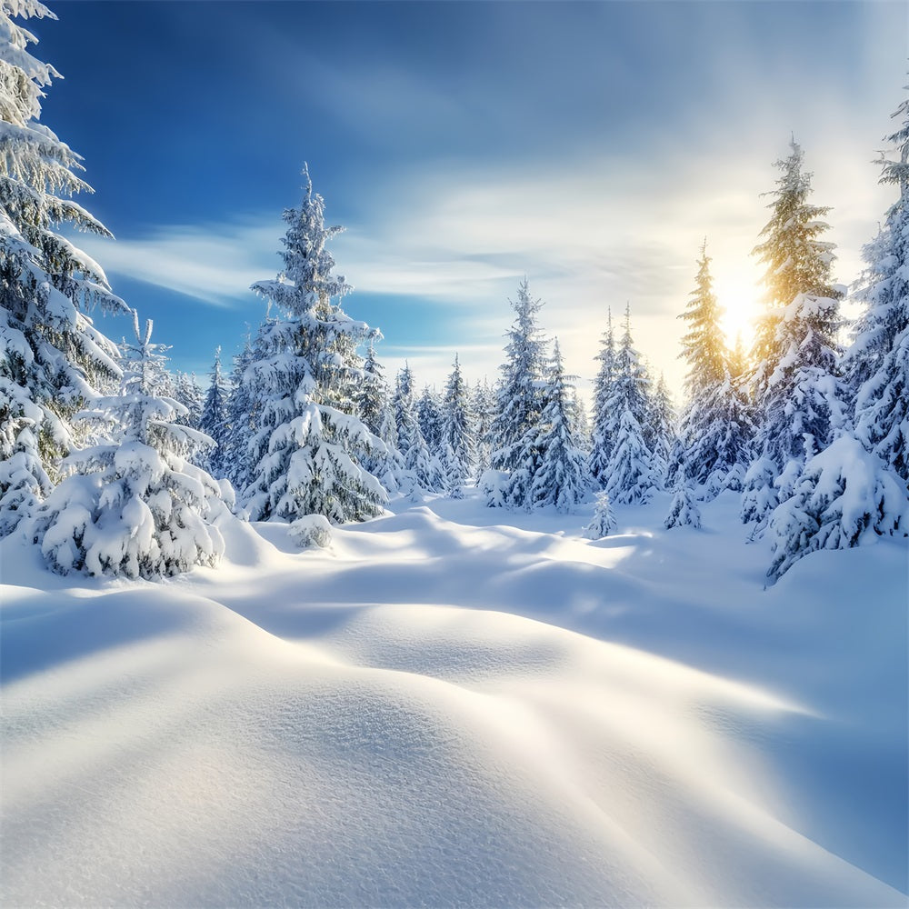 Forest Backdrop Golden Sunrise Snowy Forest Winter Wonderland Backdrops LXX58-239