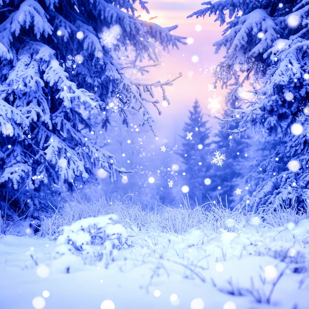 Forest Backdrop Blue Frost Sparkling Snowflakes Winter Photo Backdrop LXX58-242