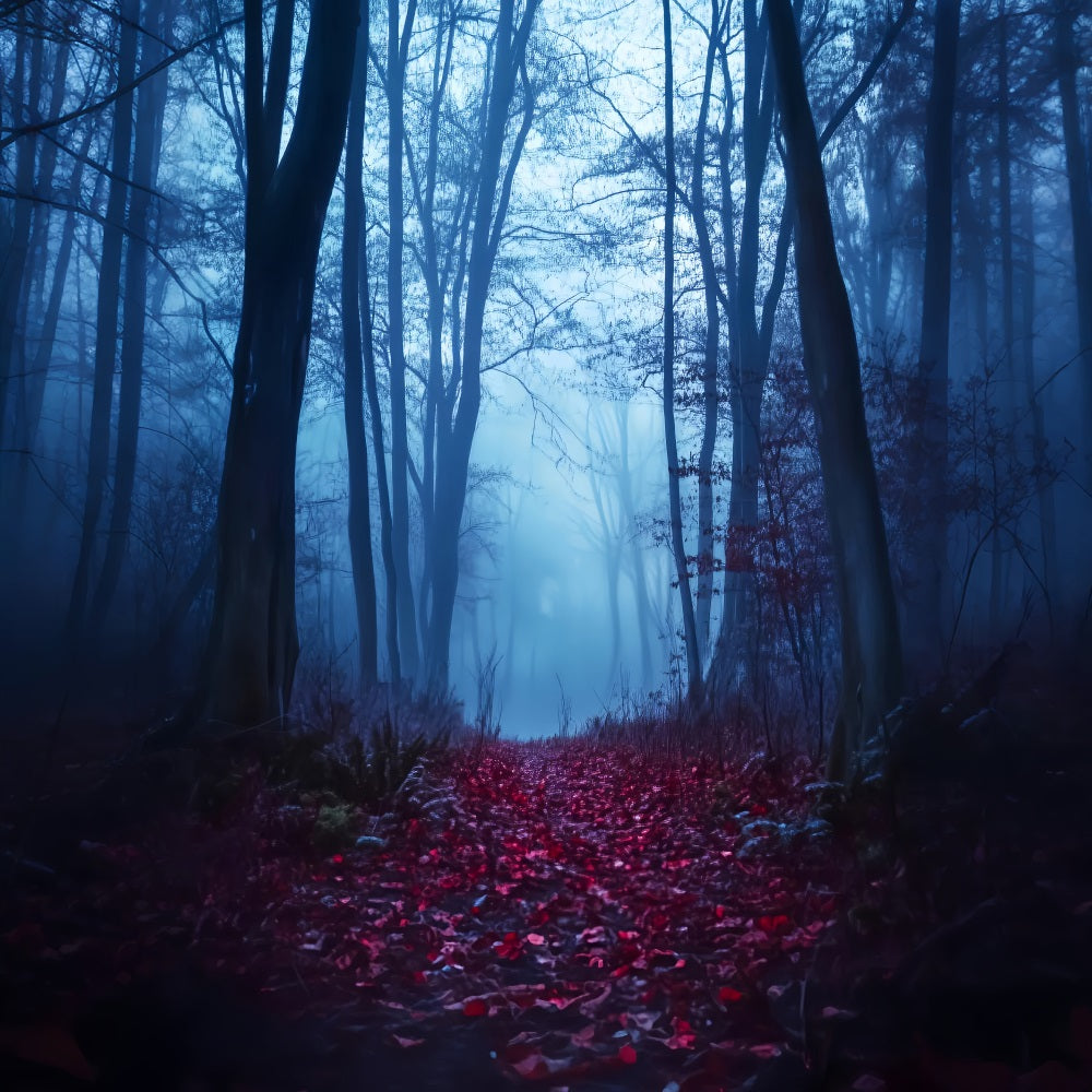 Spooky Forest Crimson Path Foggy Woods Forest Backdrop LXX58-271