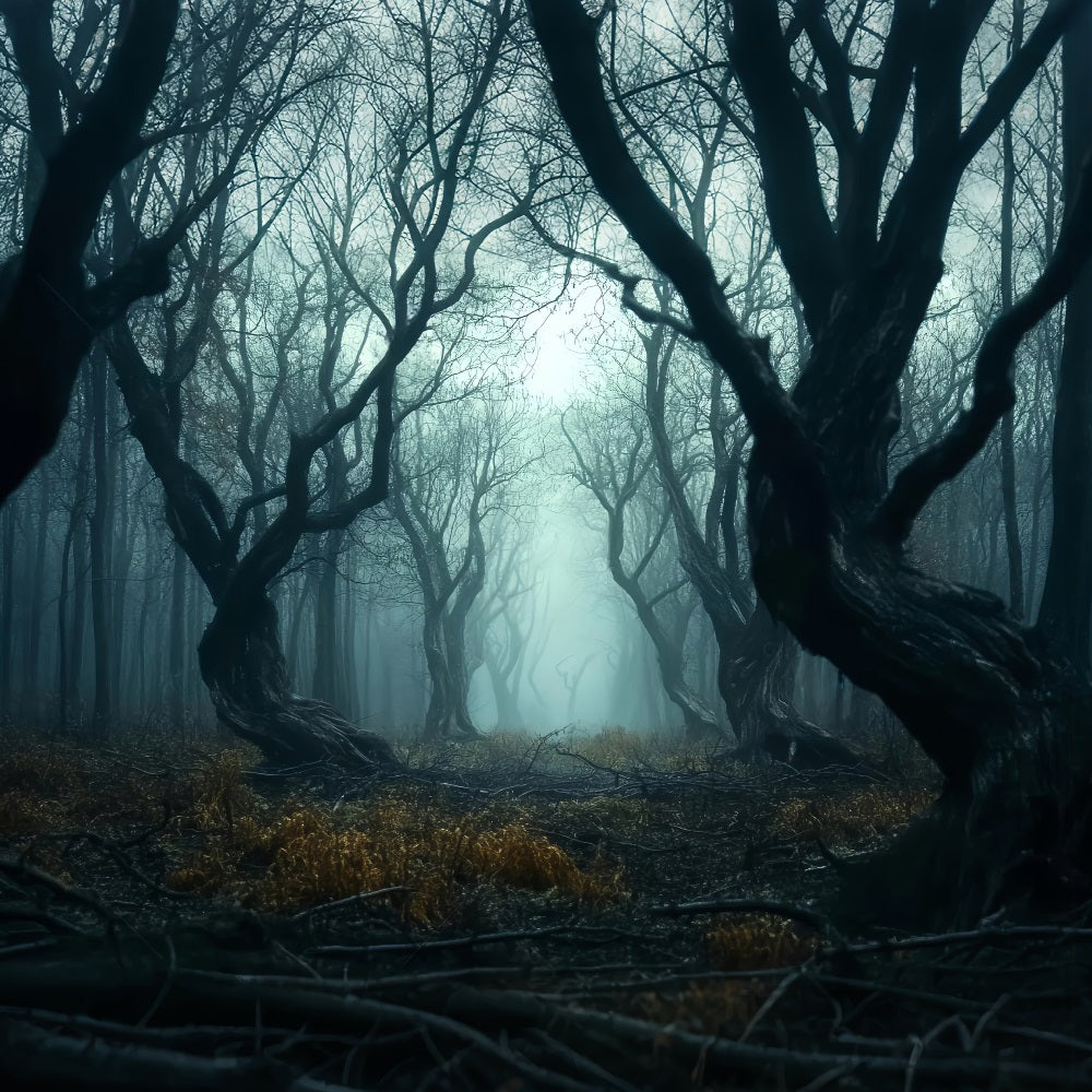 Spooky Forest Twisted Dark Mist Trees Forest Photography Backdrop LXX58-273