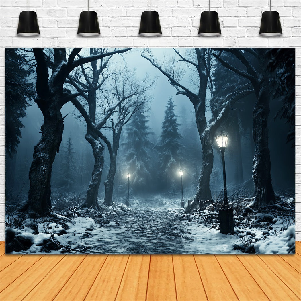 Winter Snowy Forest Snowy Path Lantern Glow Forest Backdrop LXX58-274
