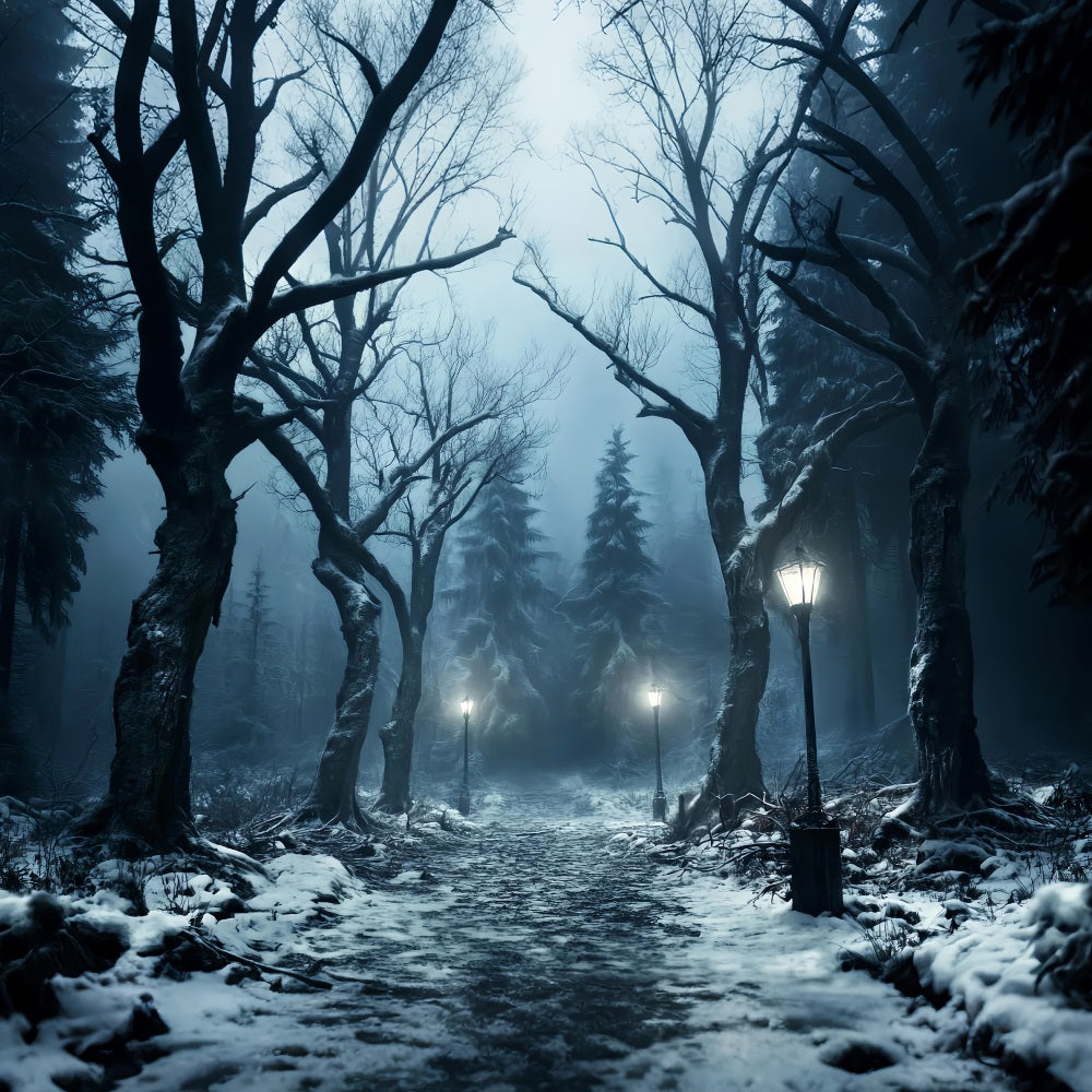 Winter Snowy Forest Snowy Path Lantern Glow Forest Backdrop LXX58-274