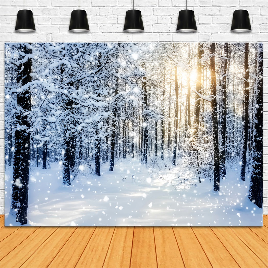 Snowy Forest Sparkling Sunrise Winter Woods Woodland Forest Backdrop LXX58-276