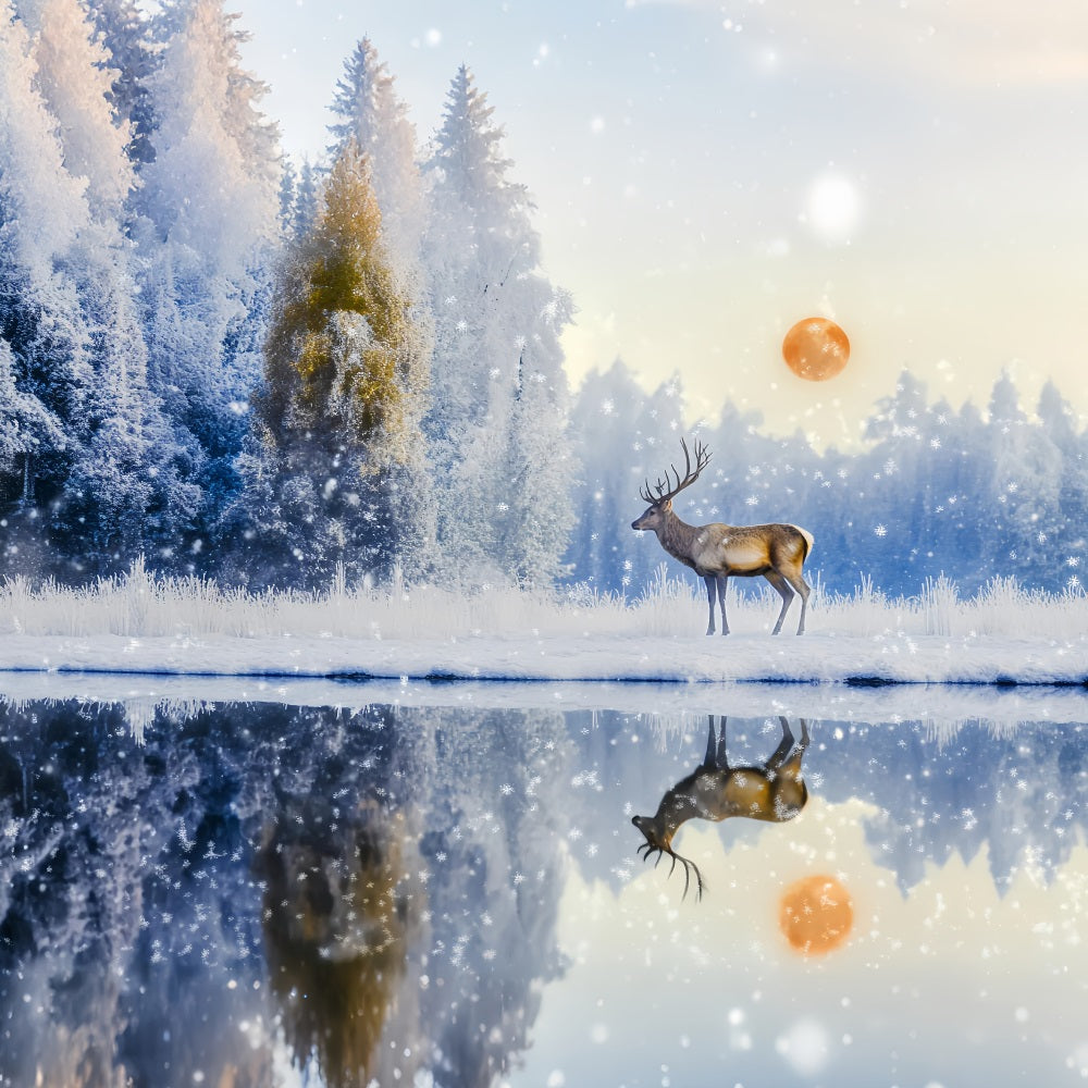 Enchanted Forest Snowfall Deer Sunrise Reflection Magical Forest Backdrop LXX58-289
