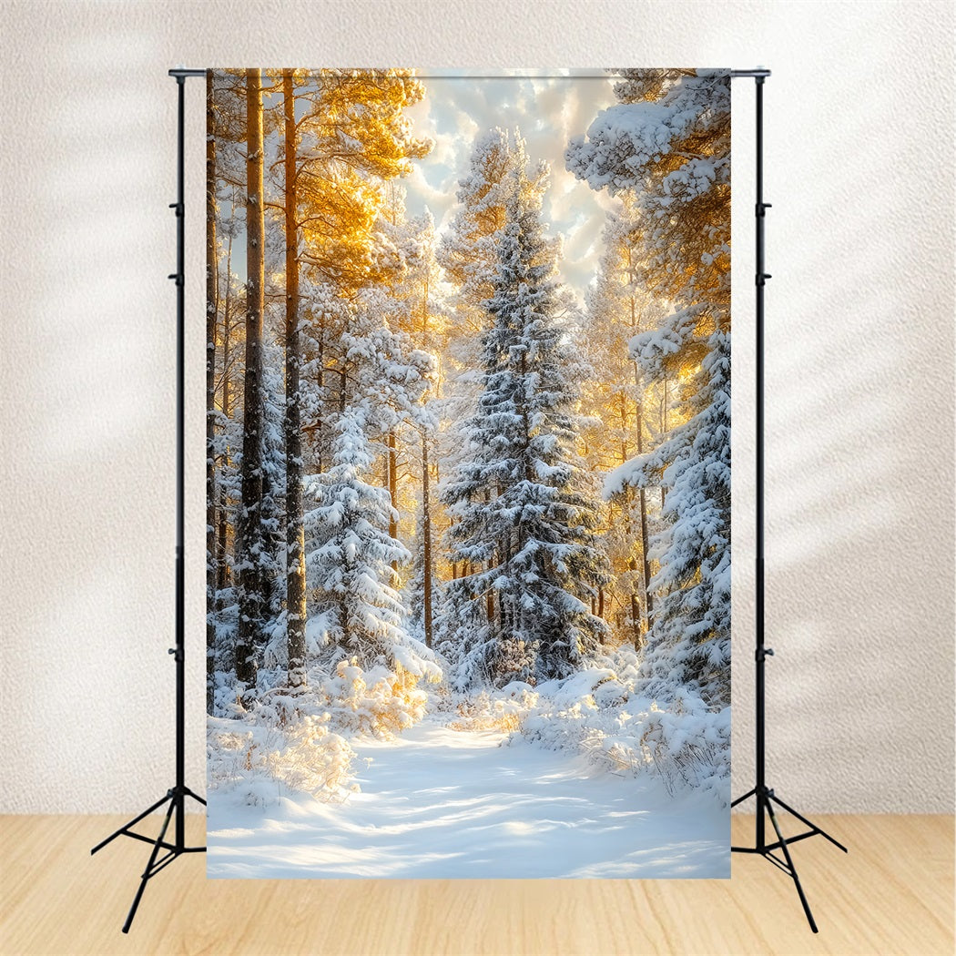 Christmas Pine Forest Frosty Trees Golden Glow Forest Photo Backdrop LXX58-309