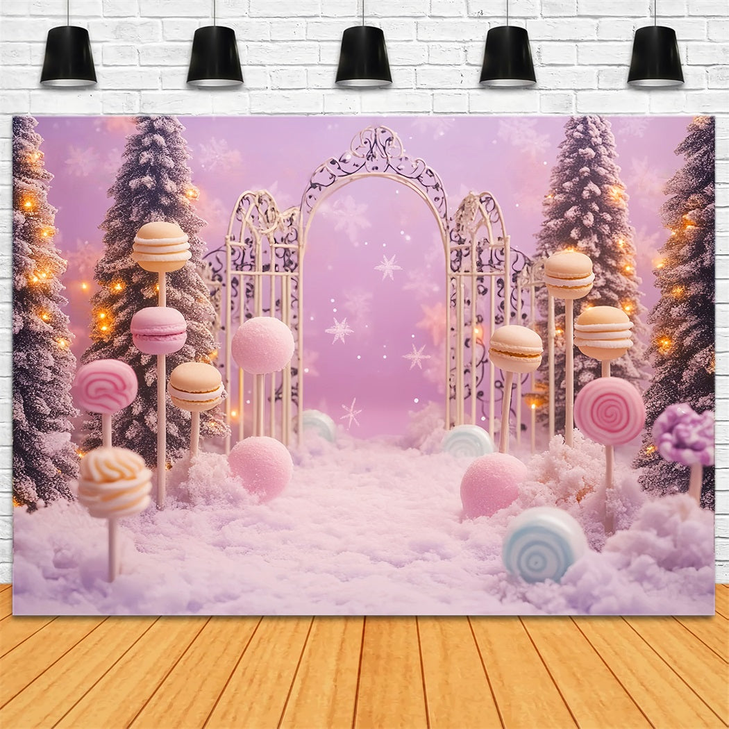 Newborn Backdrop Candy Wonderland Snowy Forest Newborn Photoshoot Backdrop LXX58-347