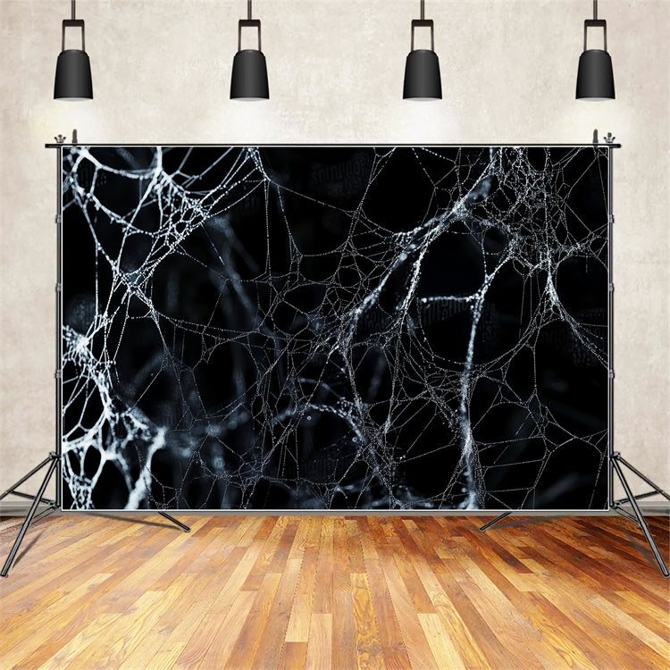 Halloween Backdrop Midnight Spider Web Net Backdrop LXX58-9