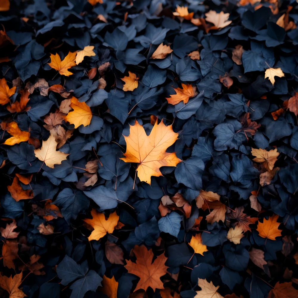 Fall Backdrop Crisp Autumn Fallen Leaves Pattern Fall Photo Backdrops LXX59-281