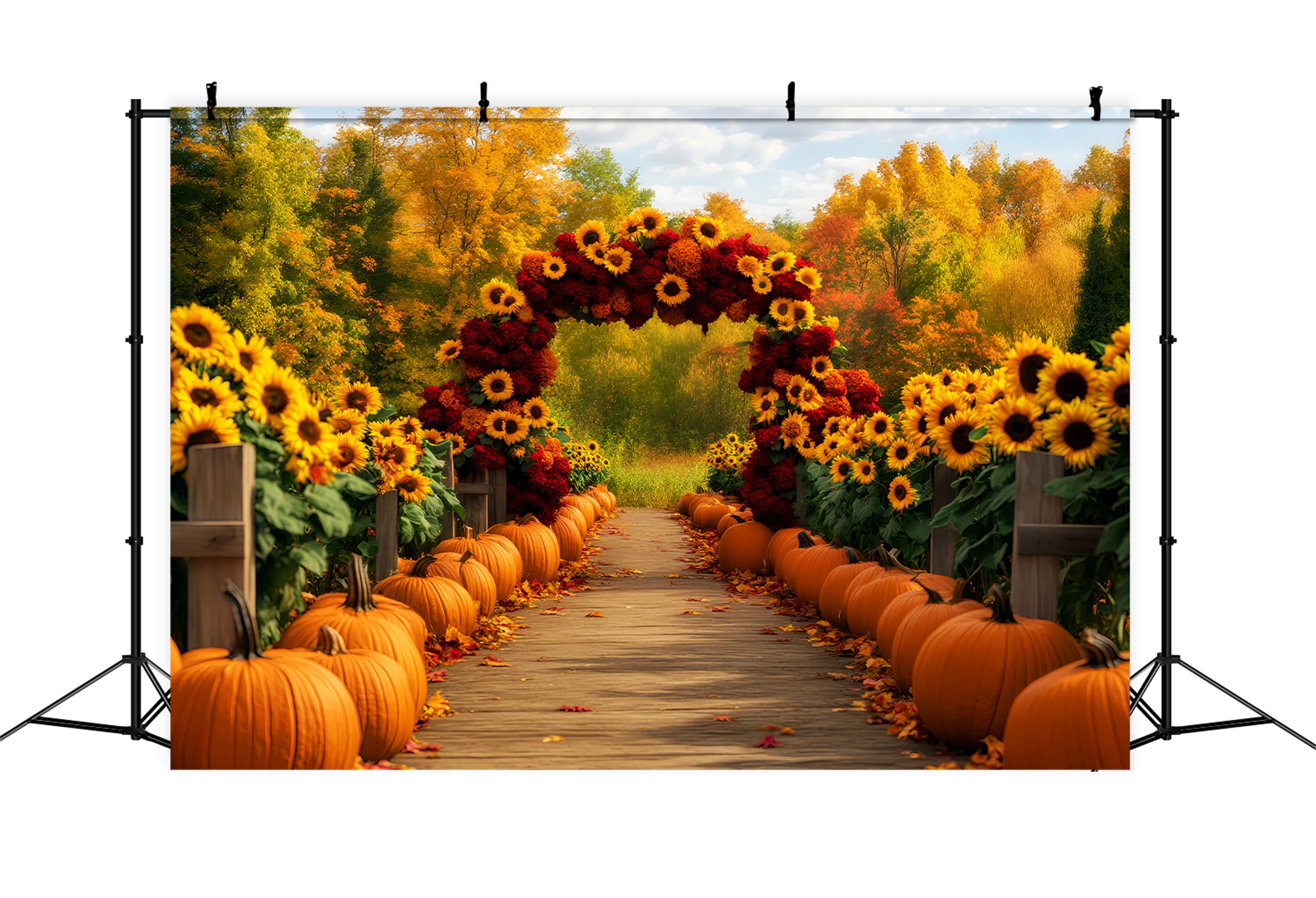 Sunflower Backdrop Sunflower Path Pumpkins Autumn Backdrop LXX59-284