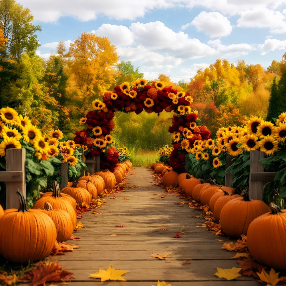 Sunflower Backdrop Sunflower Path Pumpkins Autumn Backdrop LXX59-284