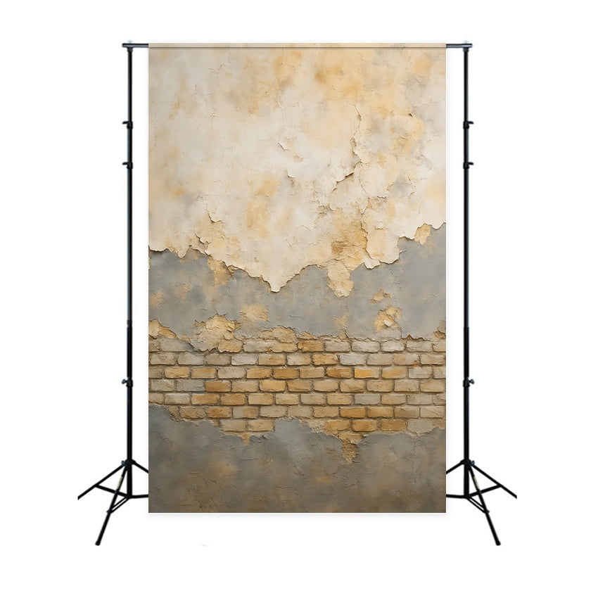 Concrete Photo Backdrop Vintage Cracked Brick Texture Portrait Backdrop LXX59-416