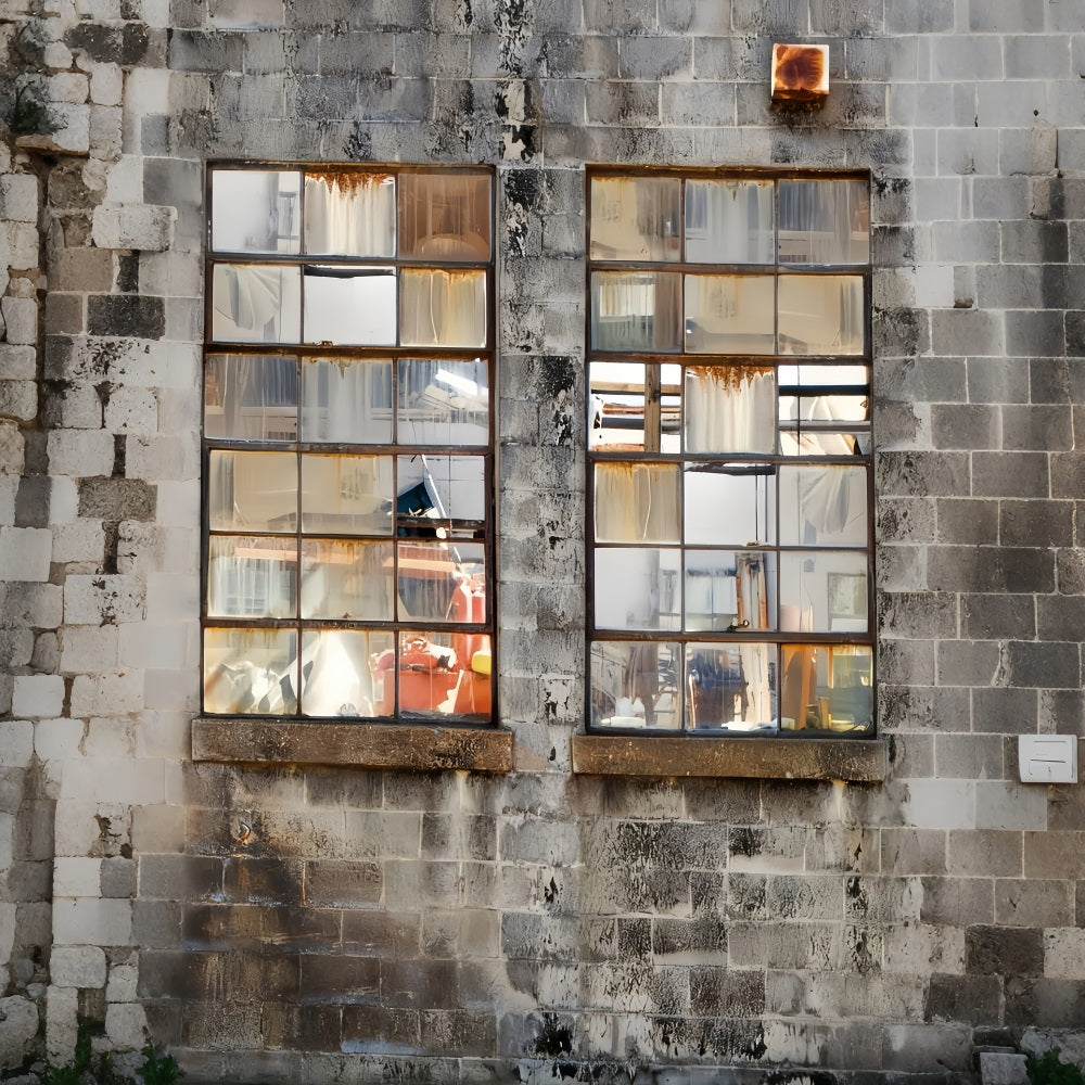 Concrete Backdrop Rusty Industrial Window Wall Family Portrait Backdrop LXX59-445