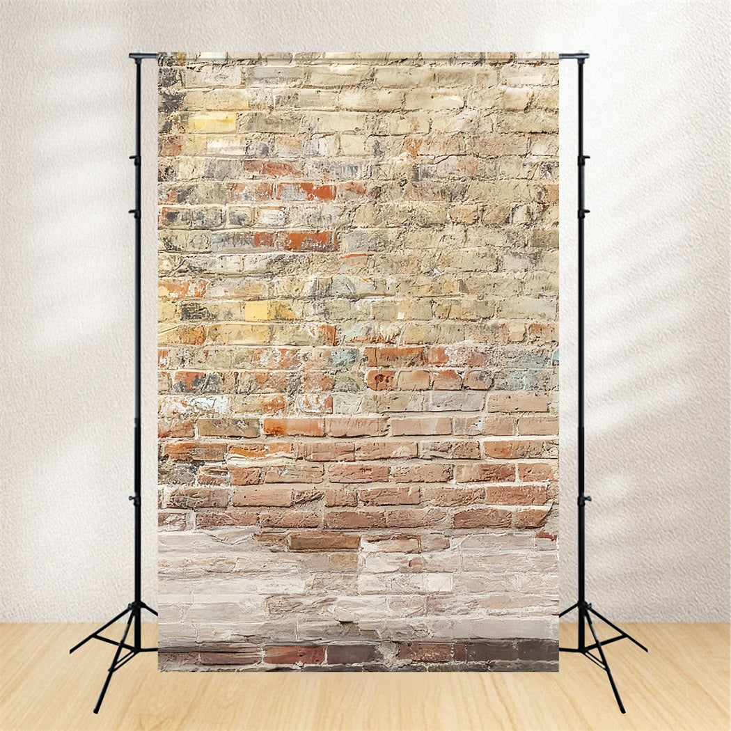 Concrete Backdrop Vintage Brick Wall Texture Portrait Photo Backdrop LXX59-457