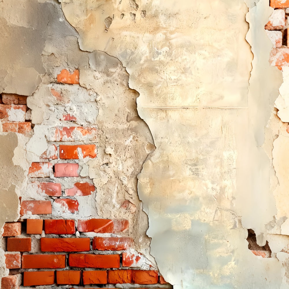 Concrete Wall Backdrop Exposed Brick Plaster Texture Portrait Backdrops LXX59-460