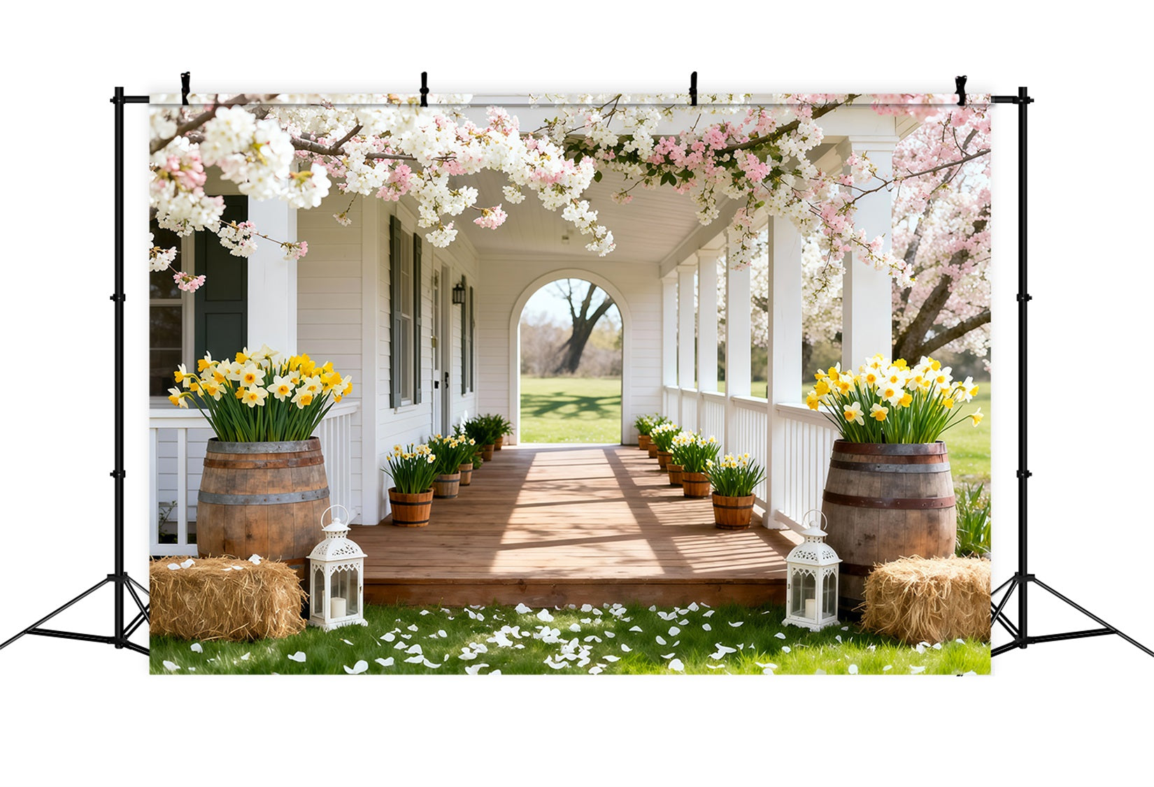 Daffodil Backdrop Cherry Blossom Porch Walkway Floral Backdrop For Photos LXX61-203