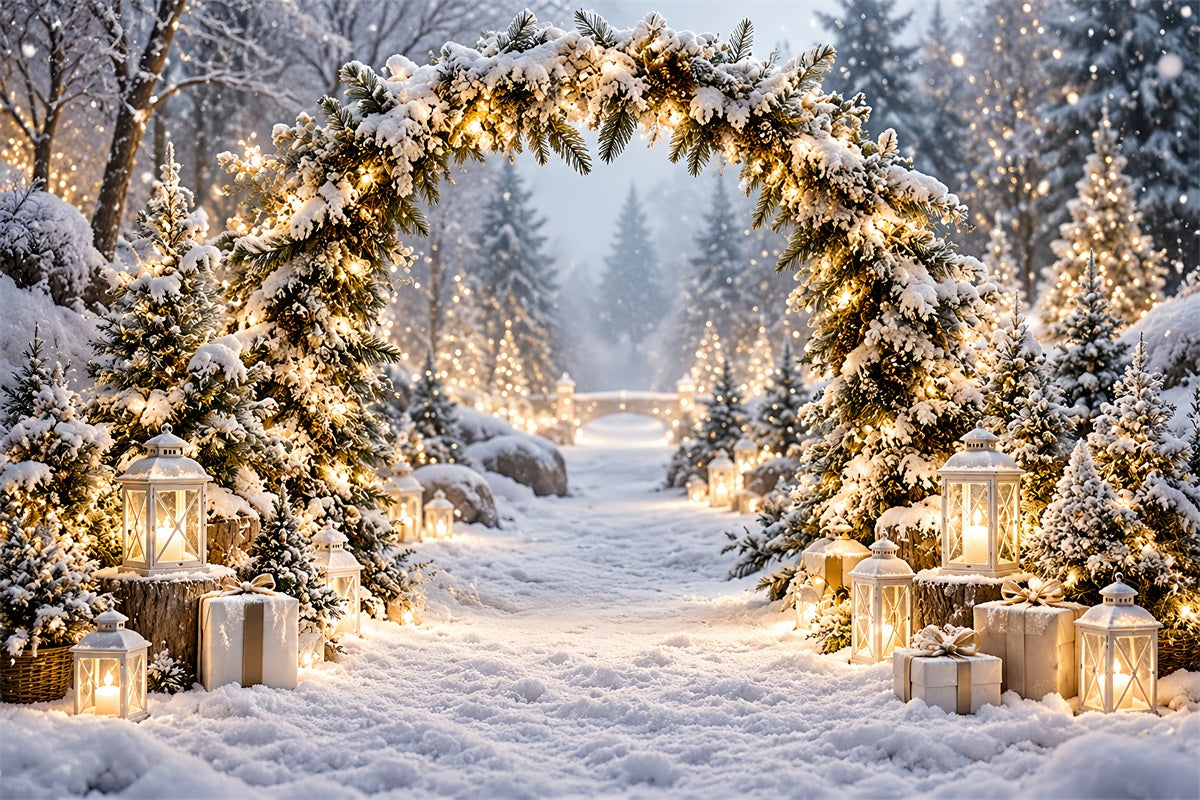Christmas Backdrops for Photos Snowy Lantern Archway Path Winter Wonderland Christmas Backdrop LXX610-169