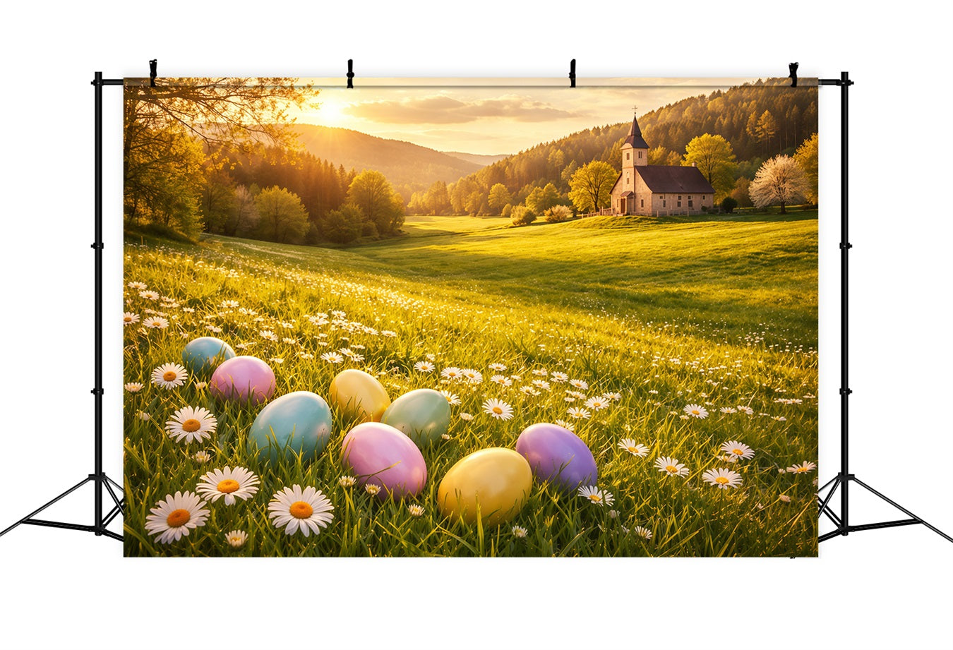 Egg Backdrop Golden Sunrise Daisy Meadow Church Outdoor Easter Backdrops LXX62-89