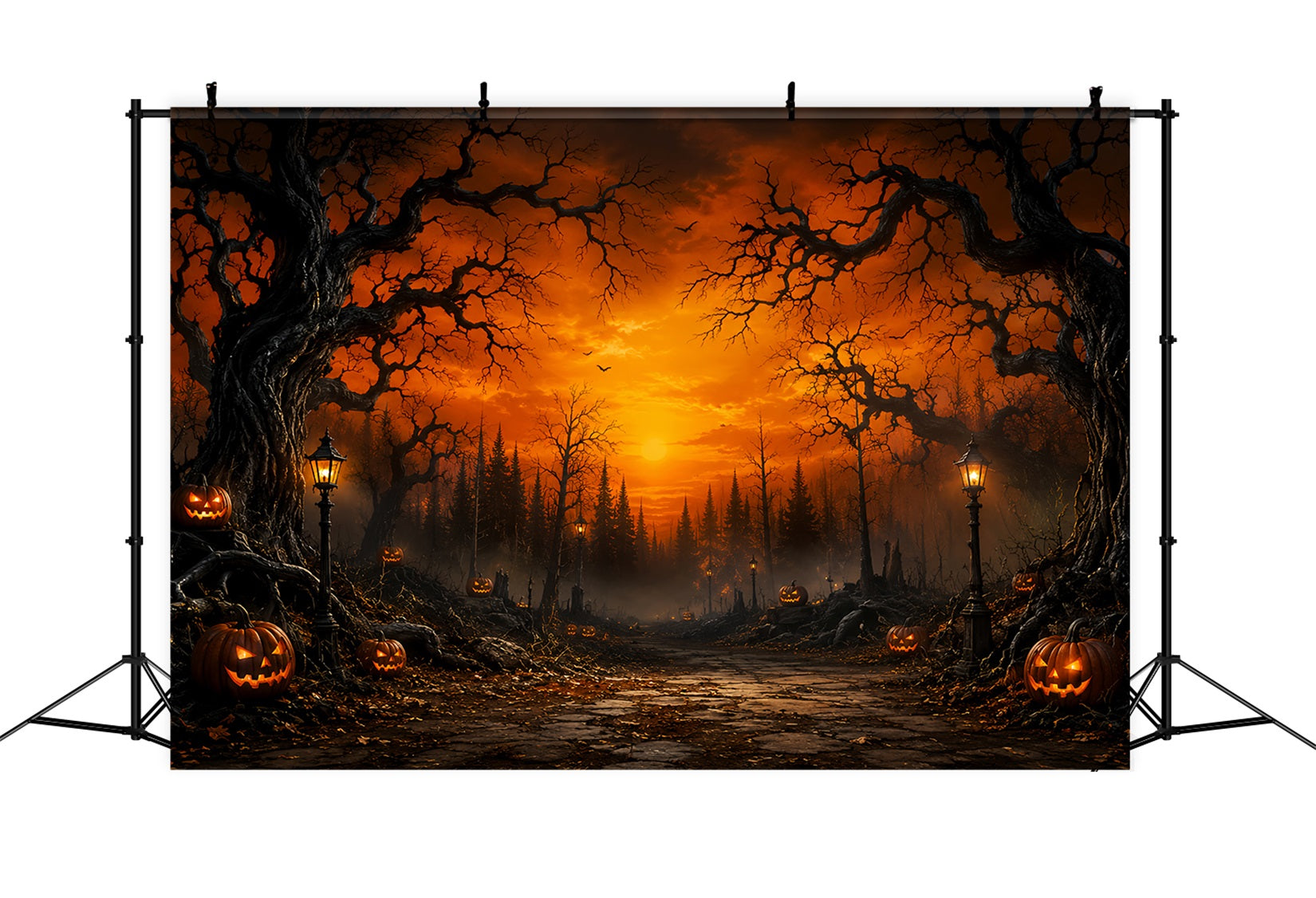 Spooky Forest Backdrop Sunset Pumpkin Woods Path Spooky Backdrop LXX67-217
