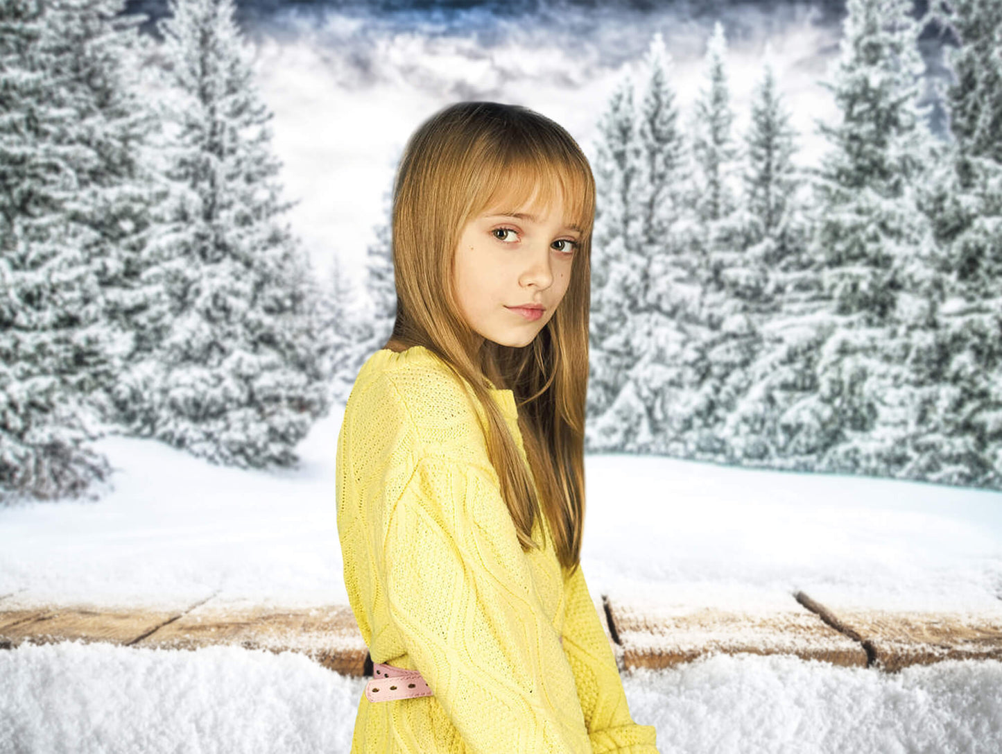Winter Mountain Forest Snow Scene Backdrop M10-44