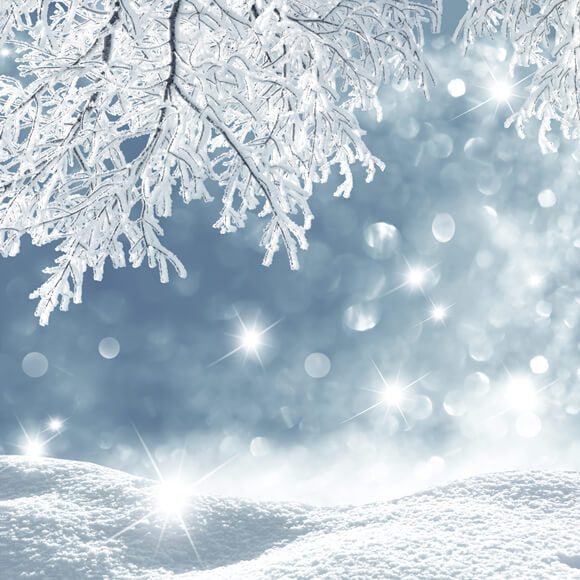 Frozen Winter Snowflake Landscape Backdrop