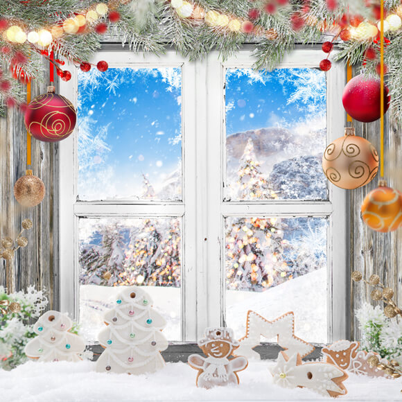 Christmas Decor Window Snow View Backdrop