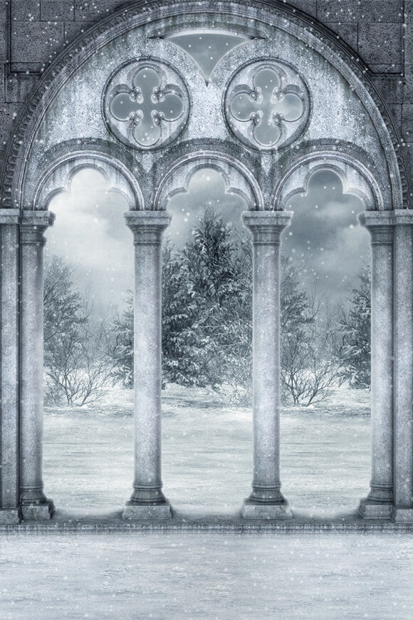 Winter Castle Terrace Snow Scenery Backdrop