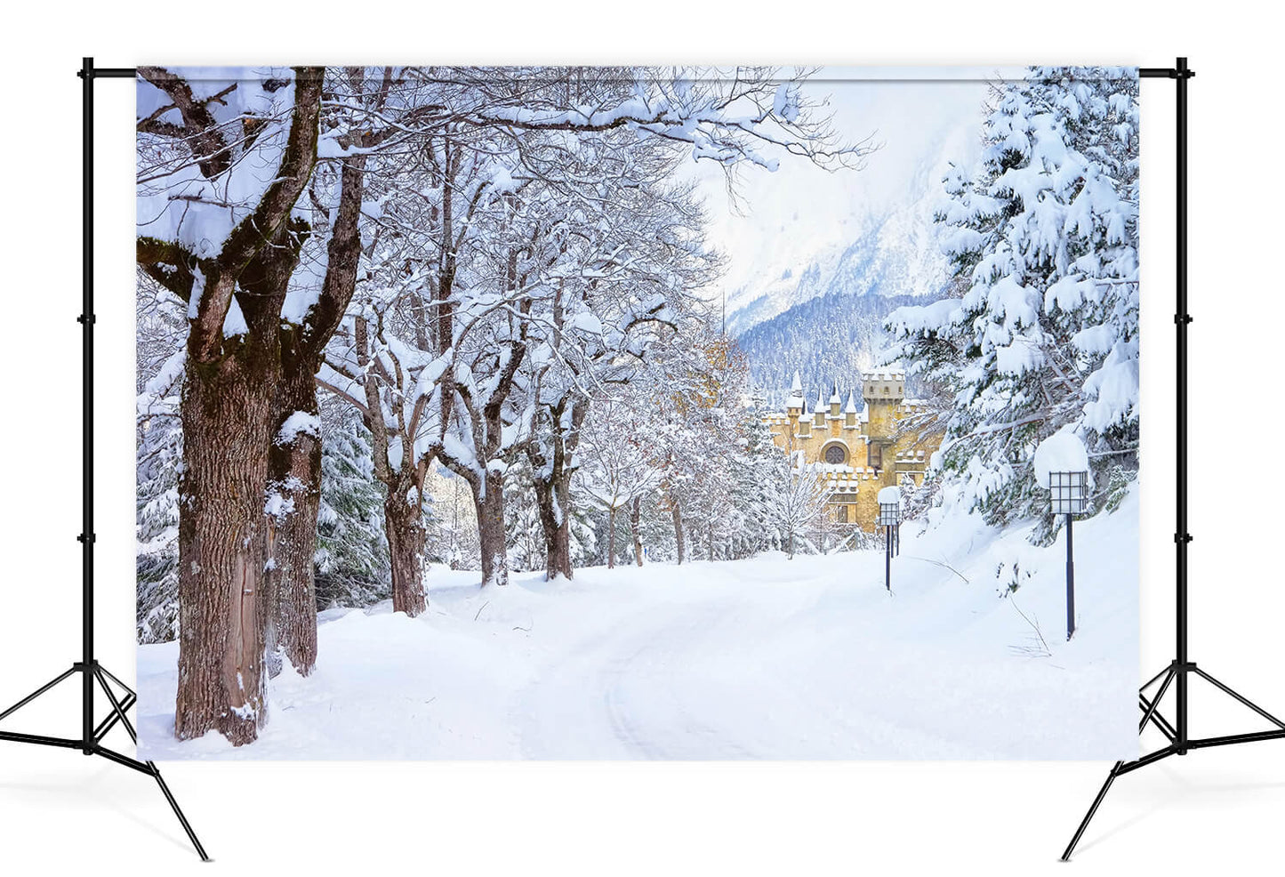 Winter Snowy Trees Road Castle Backdrop M11-12