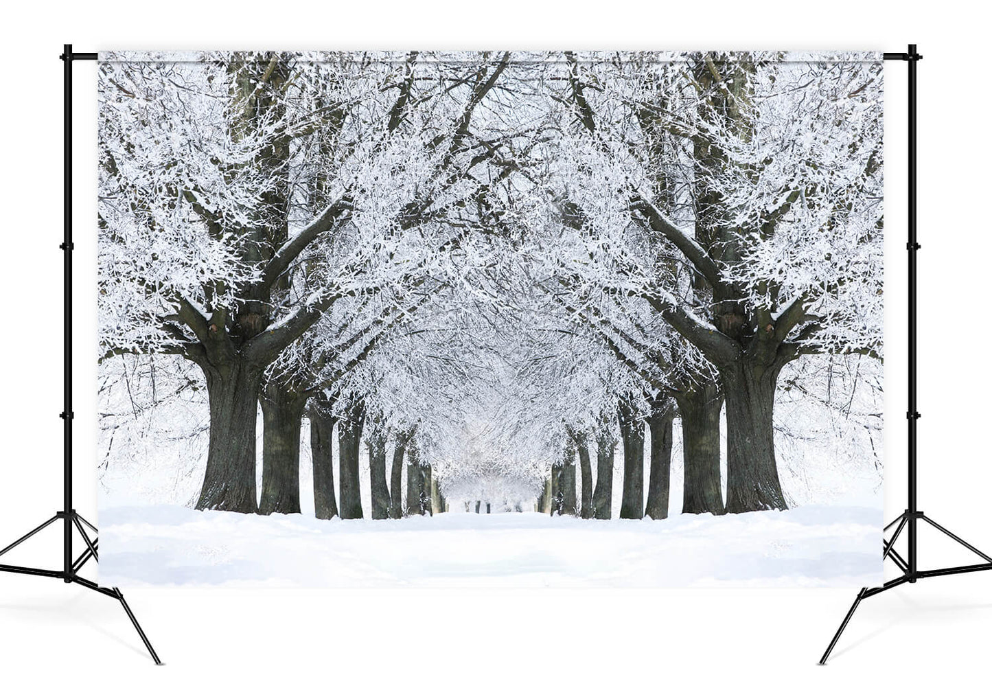 Winter Snowy Road Frozen Trees Backdrop M11-17