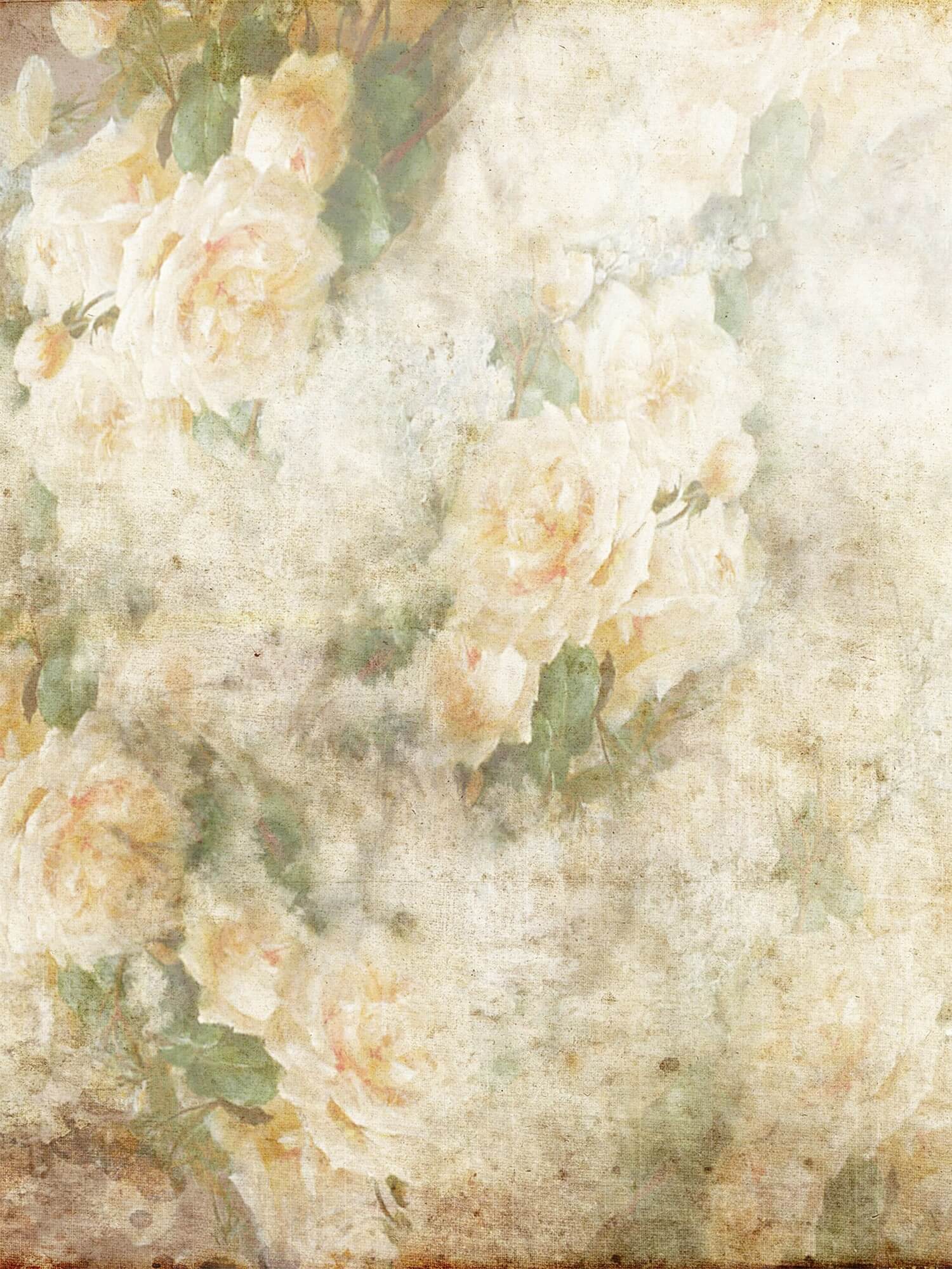 Collapsible Elegant Vintage Pink/Yellowish Rosebud Double-sided Backdrop M12-49