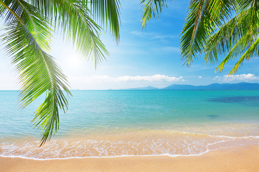 Palm Tree Tropical Beach Photography Backdrop
