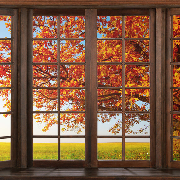 Autumn Marple Leaves Window View Backdrop M6-40