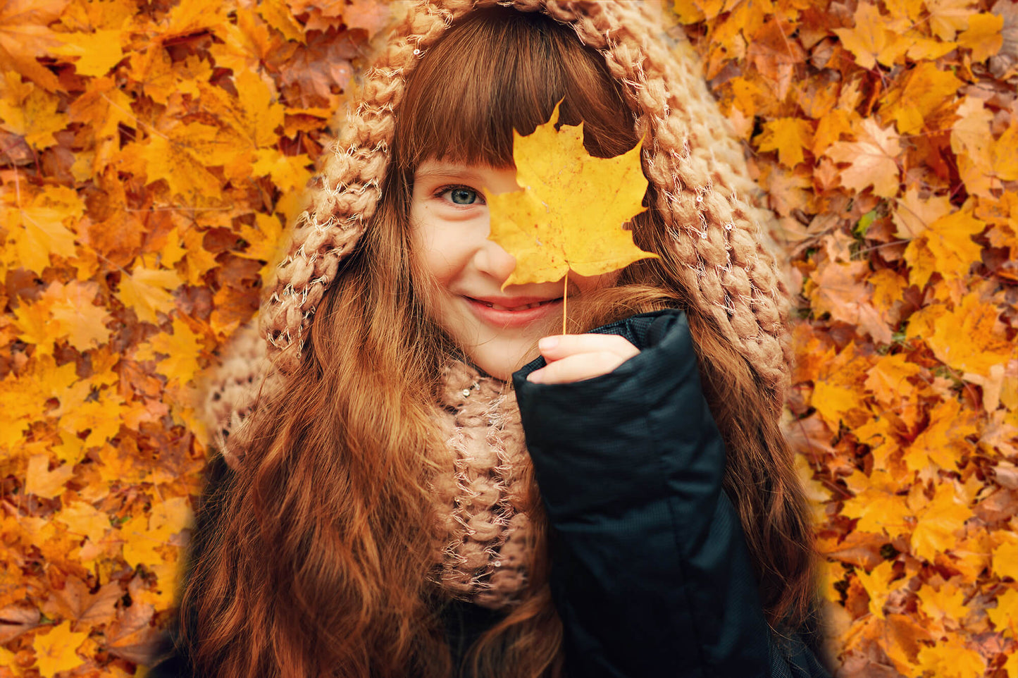 Autumn Golden Maple Leaves Photography Backdrop M6-97